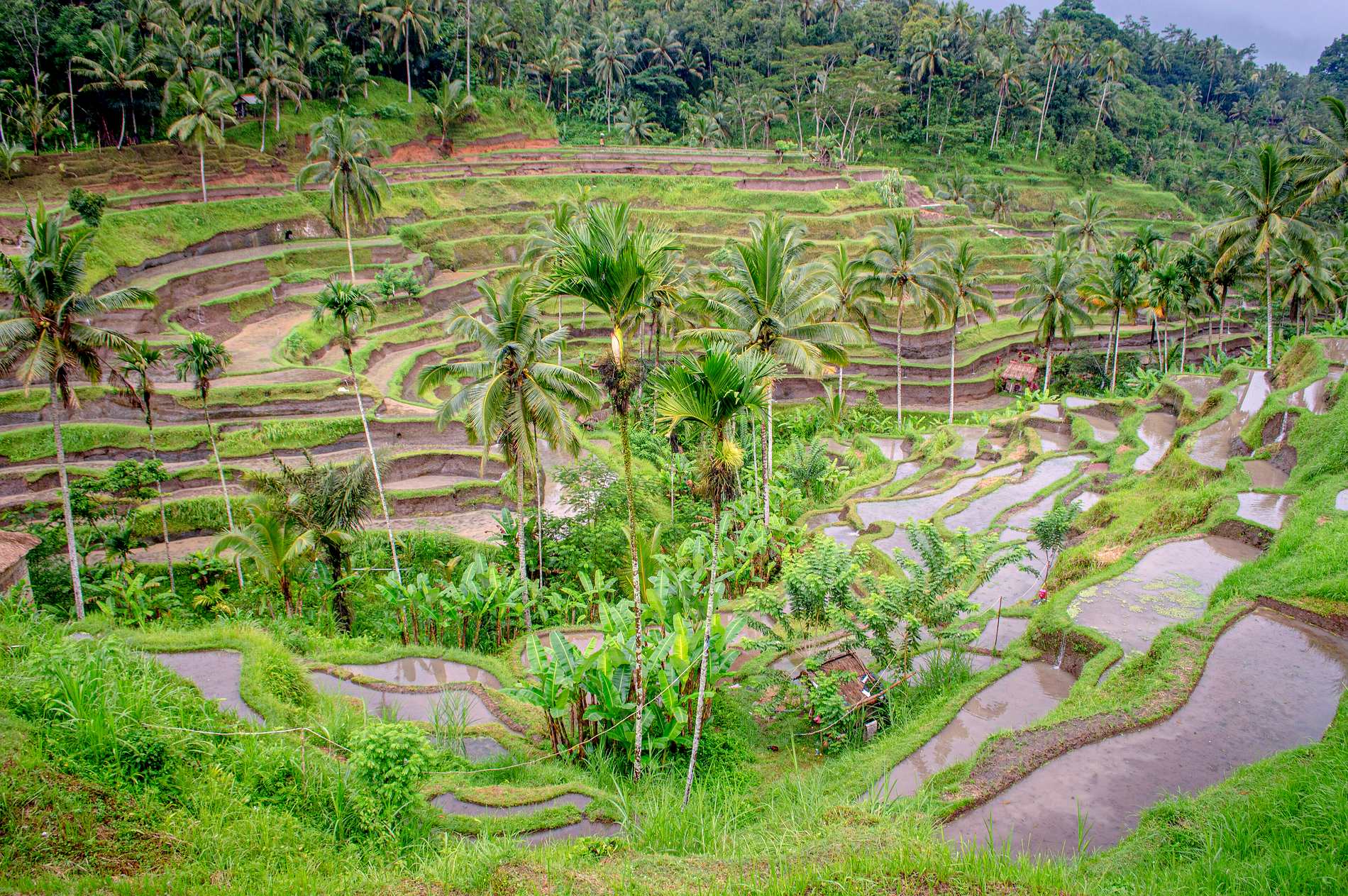 Bali 3 Days